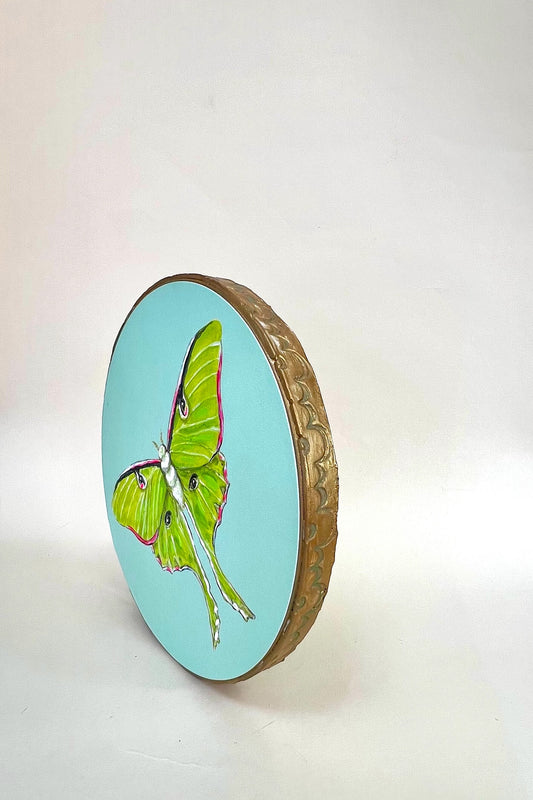 Lunar Moth 8" Round
