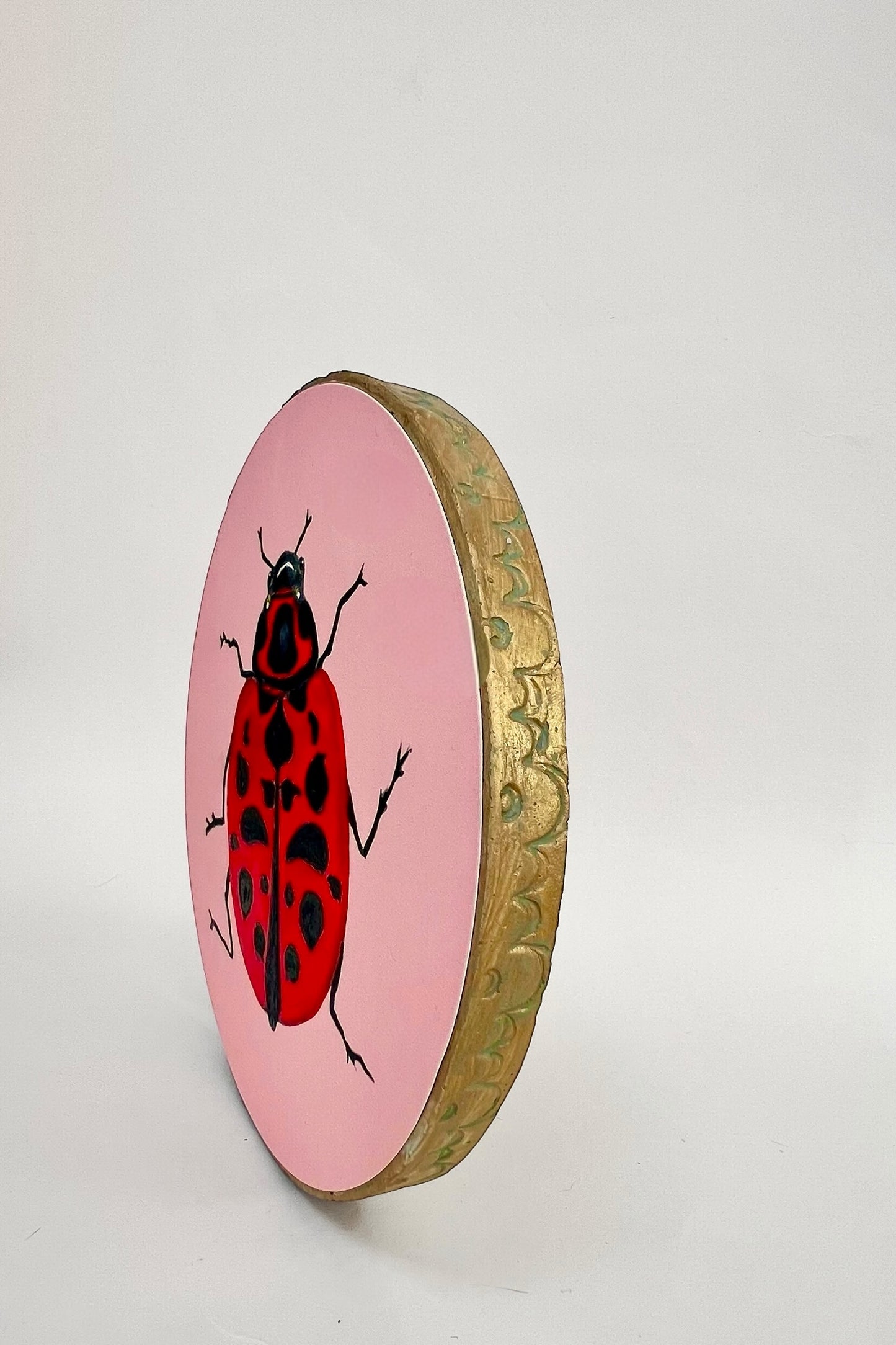Lady Bug 8" Round