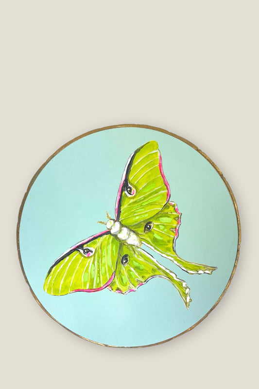 Lunar Moth 8" Round