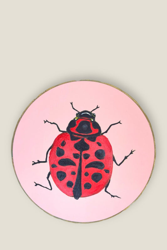 Lady Bug 8" Round