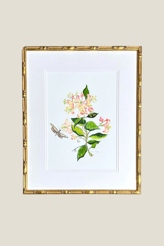 Honeysuckle Framed Art Print