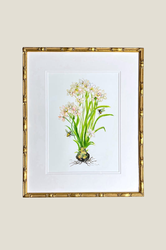 Narcissus Framed Art Print