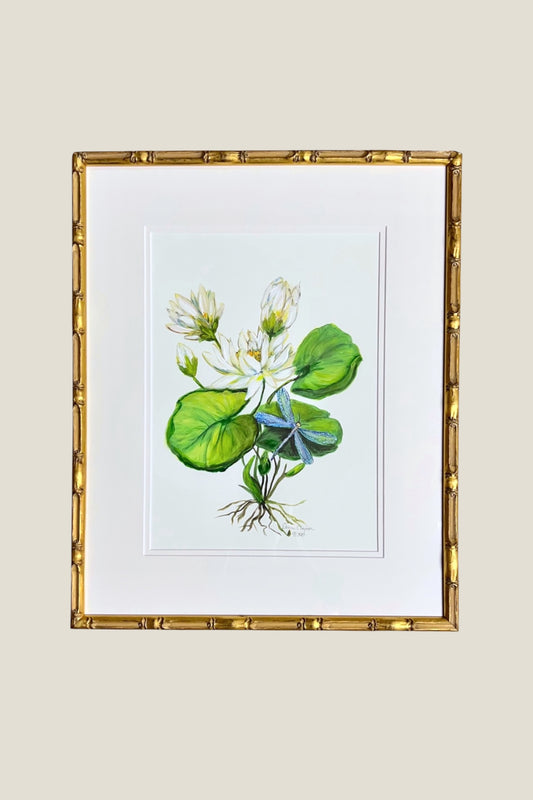 Water Lily & Dragonfly Framed Art Print