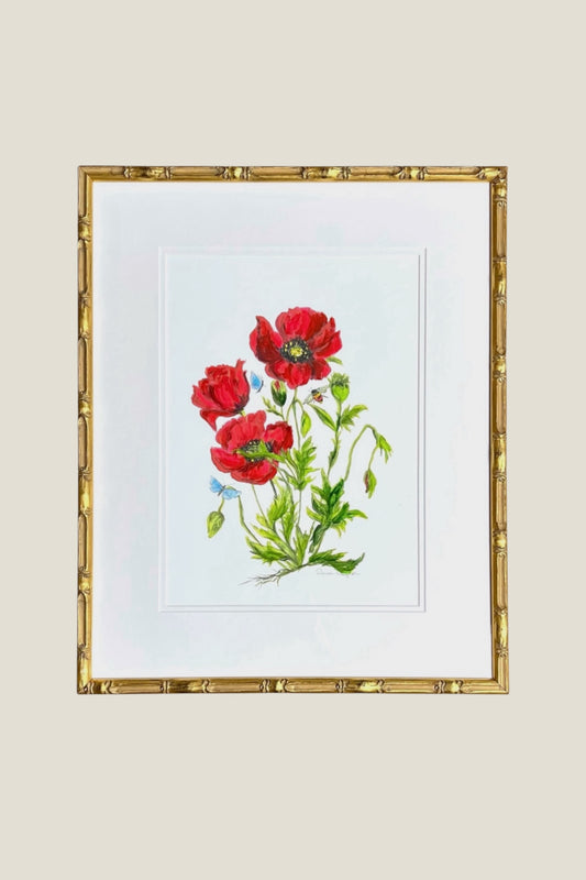 Poppy Framed Art Print