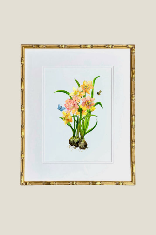 Daffodil Framed Art Print