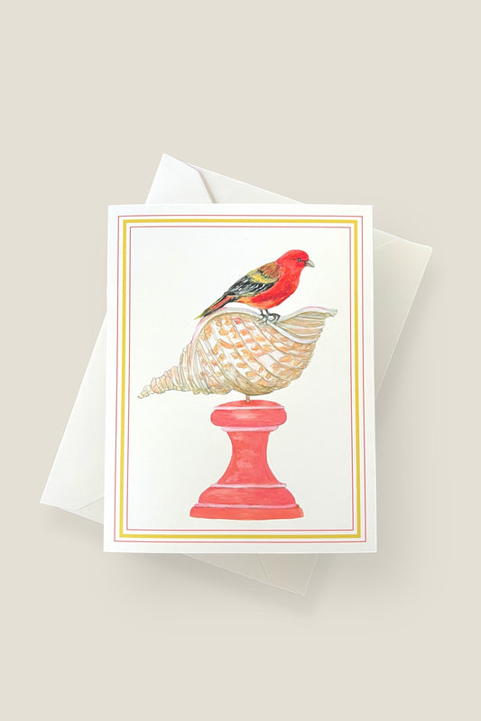 Bird with Shell Card Set