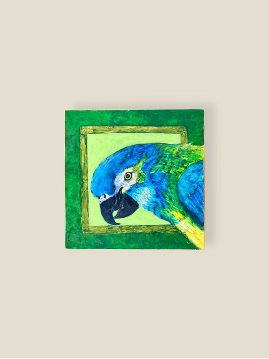 Blue-Headed Parrot